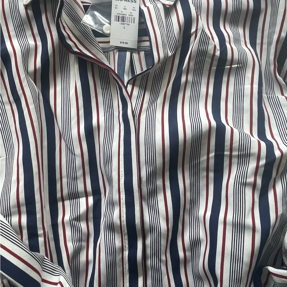 Express Women’s Portofino Shirt Dress, Size L, Blue & Burgundy Stripe. - Picture 3 of 6